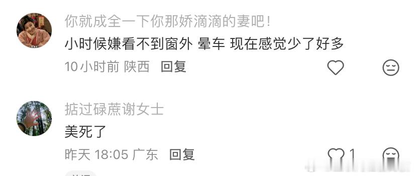 东北的车窗冻成了圣诞树 