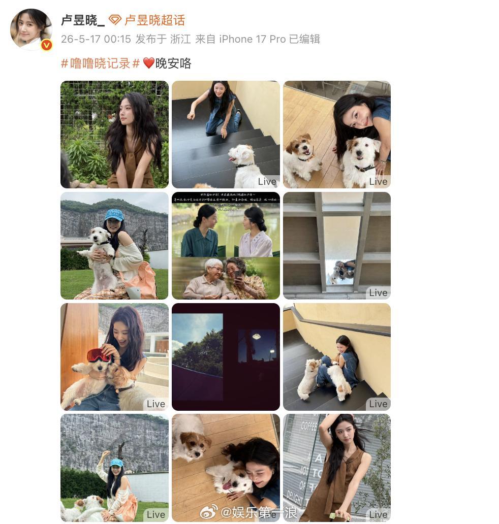卢昱晓屏摄给阿嬷的情书卢昱晓编辑了给阿嬷的情书屏摄  卢昱晓屏摄给阿嬷的情书，目