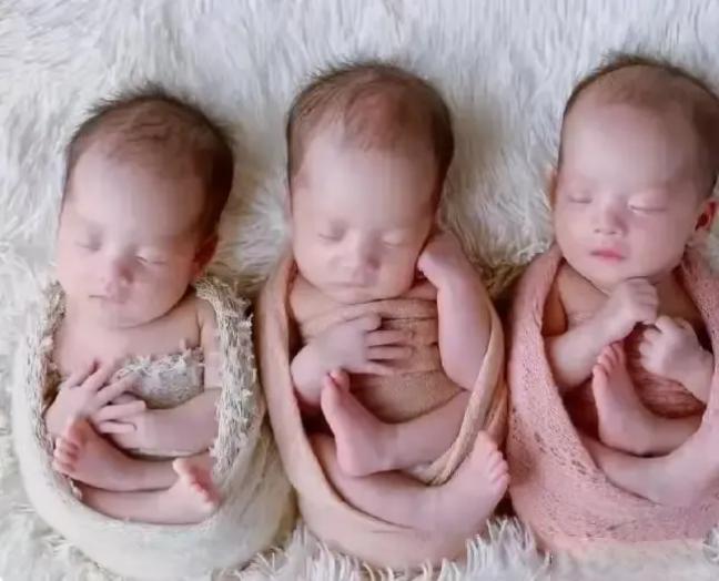 2025年10月，成都成华区32岁的张磊，得知媳妇李梅怀了三胞胎，当场拍大腿畅想