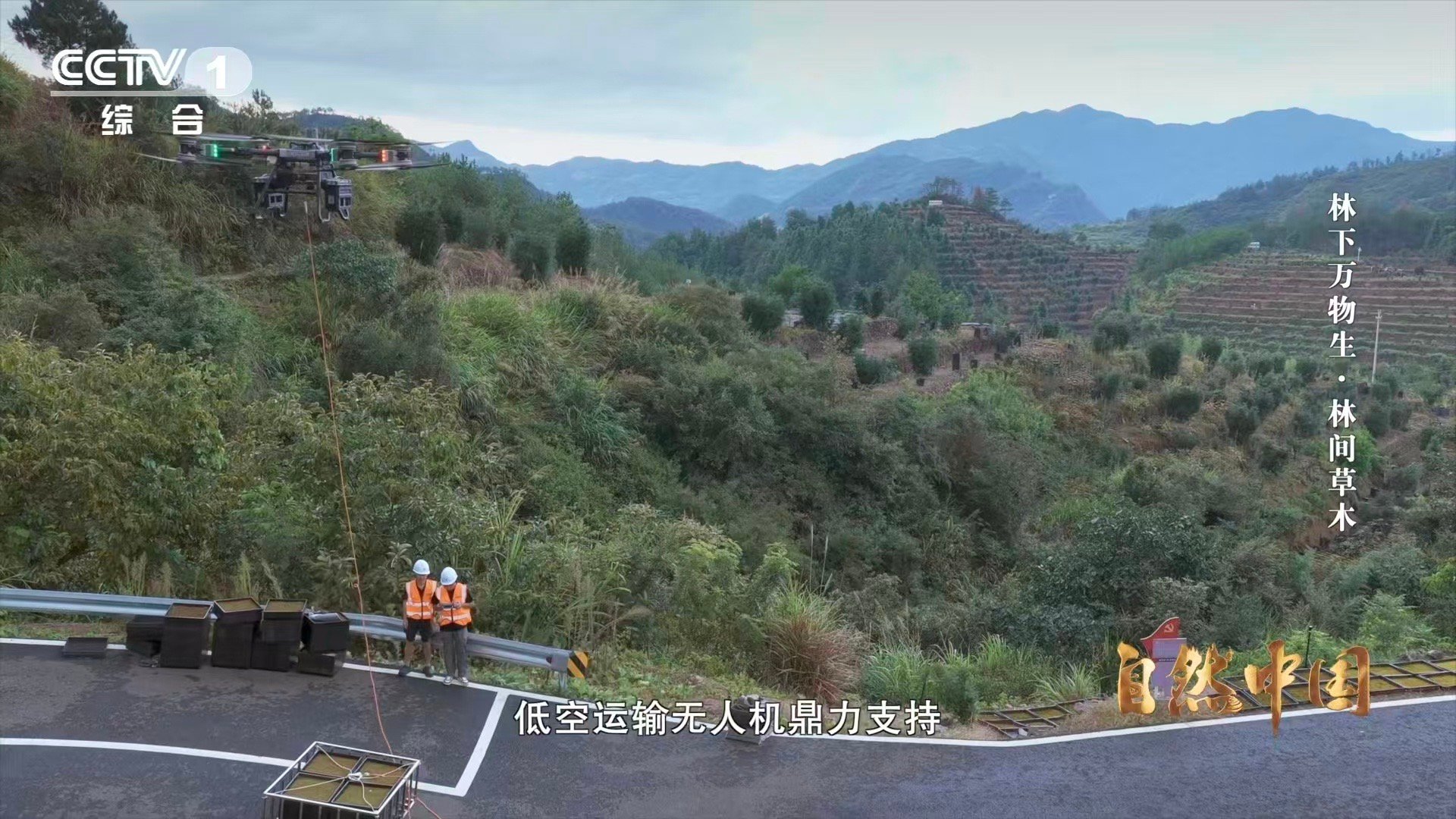 中国农村的科技含量越来越高科技解锁山地发展新密码！丽水通过“无人机+林下经济”模