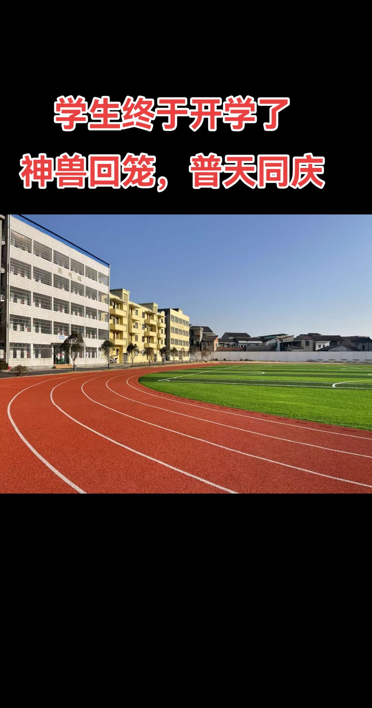 年过了，节过了，学生终于开学了，家长欢心愉悦，彻底解放了，老师要开始紧张忙碌，无