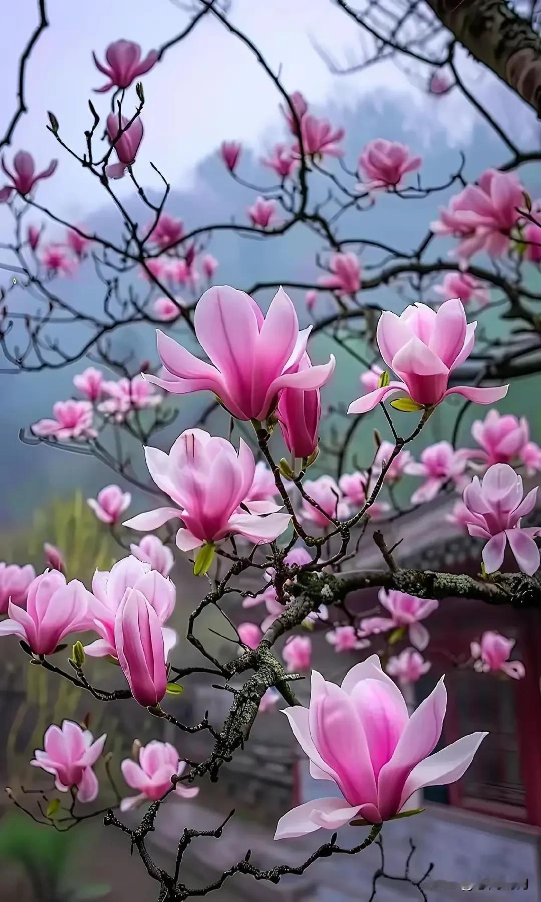 春色十分，人间向暖