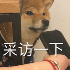 周星星永久禁言 谁给我科普一下，这是哪家的dog？👂 