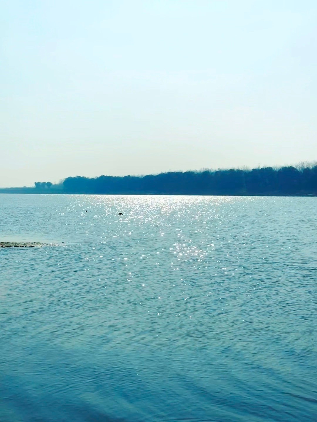 人必须争气和强大，才不会被欺负；也必须谦逊和慈悲，才不会欺负别人。—— 张小娴 