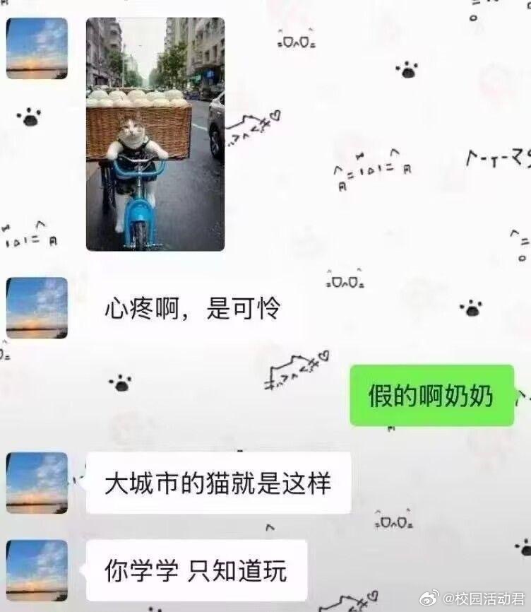 大城市的猫都是这样的吗？ ​​​