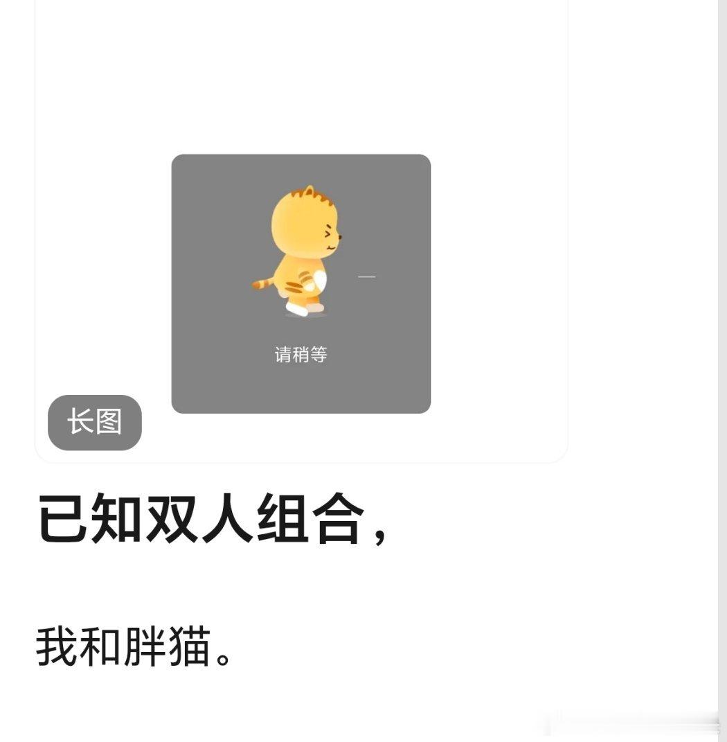 已知双人组合🈶 
