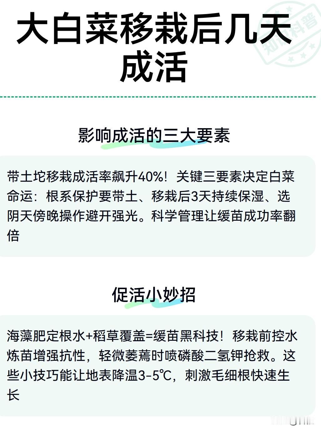 白菜移栽后几天能成活
不少菜友刚移栽完白菜，天天担心苗子缓不过来。正常气温条件下