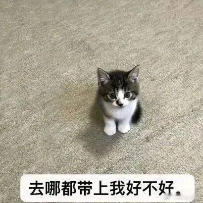 你摊开双手允许一切流走 后来我发现你转身依旧拥有一切 