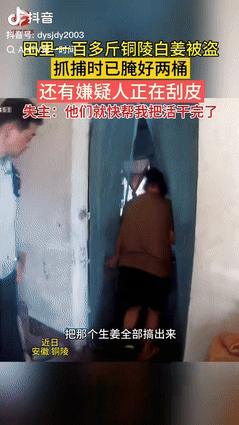 聪明过头了！”安徽，一种植户发现田里一百多斤的铜陵生姜被人挖走了，报警后，民警顺