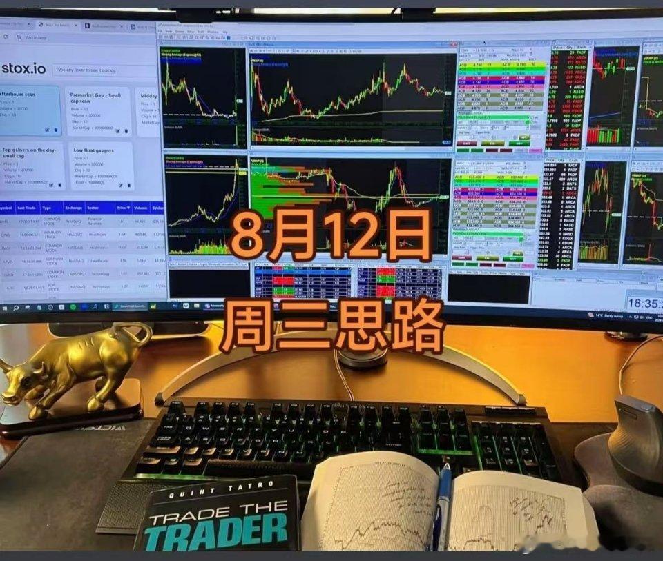8月12日，开盘第一分钟，8月真正的主线争夺战正式开始，而8月真正的补涨龙随着立