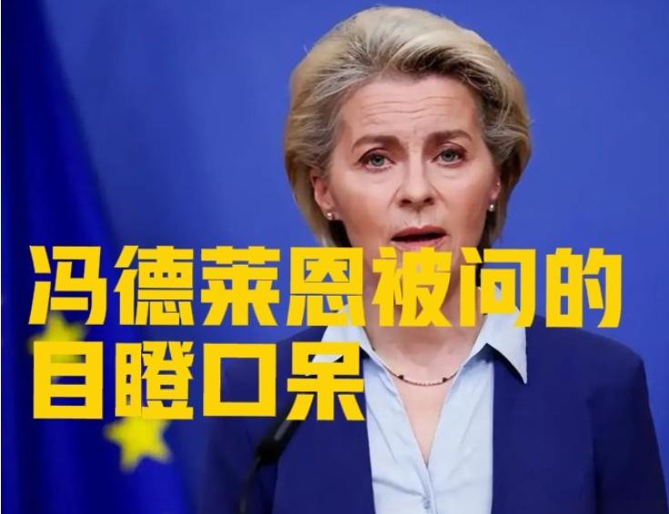 冯德莱恩为什么会被问得装聋作哑、低头沉默？
 
在12月初欧盟的一次内部会议上，