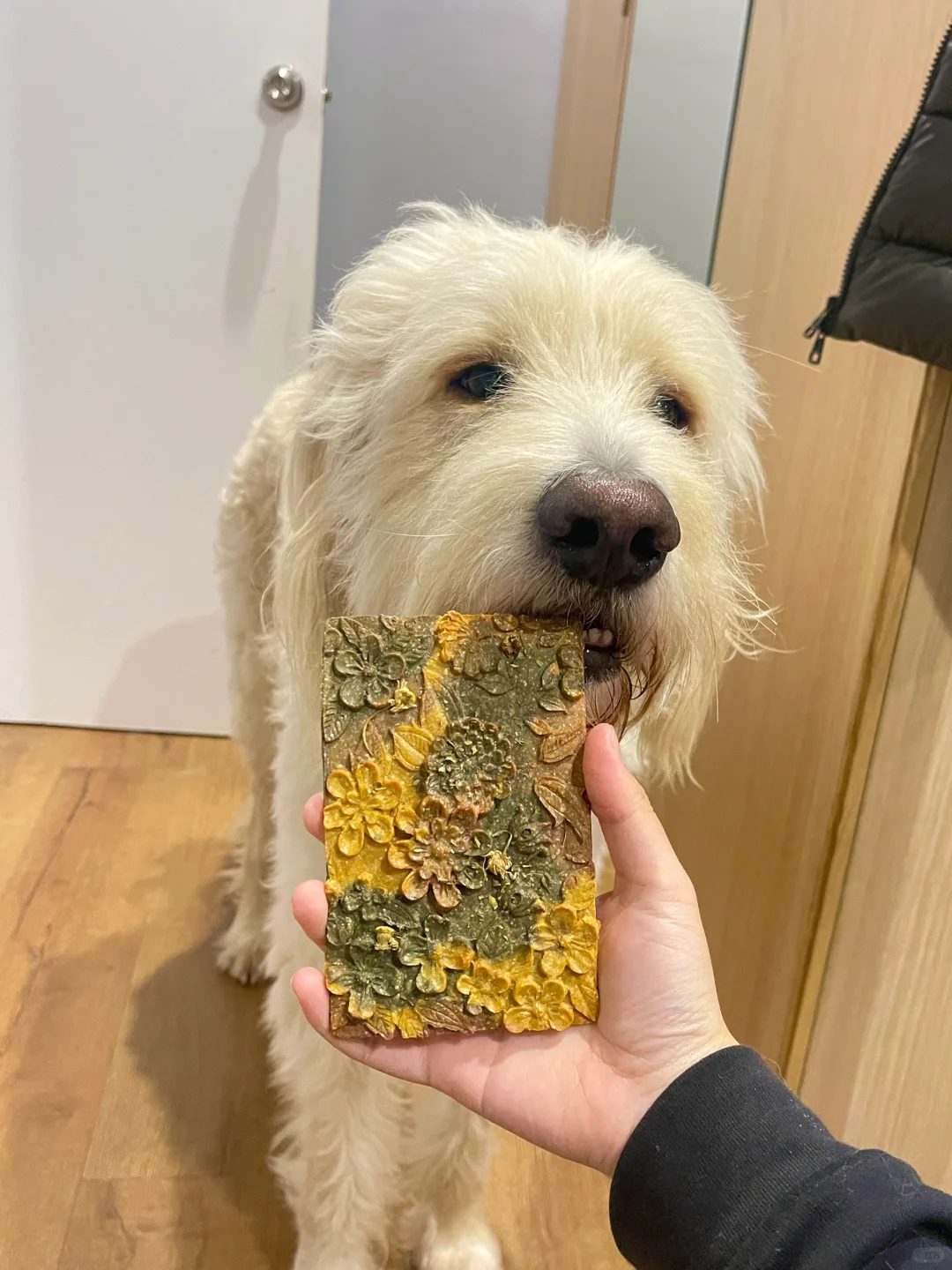 这个饼干应该叫 有啥加啥饼干