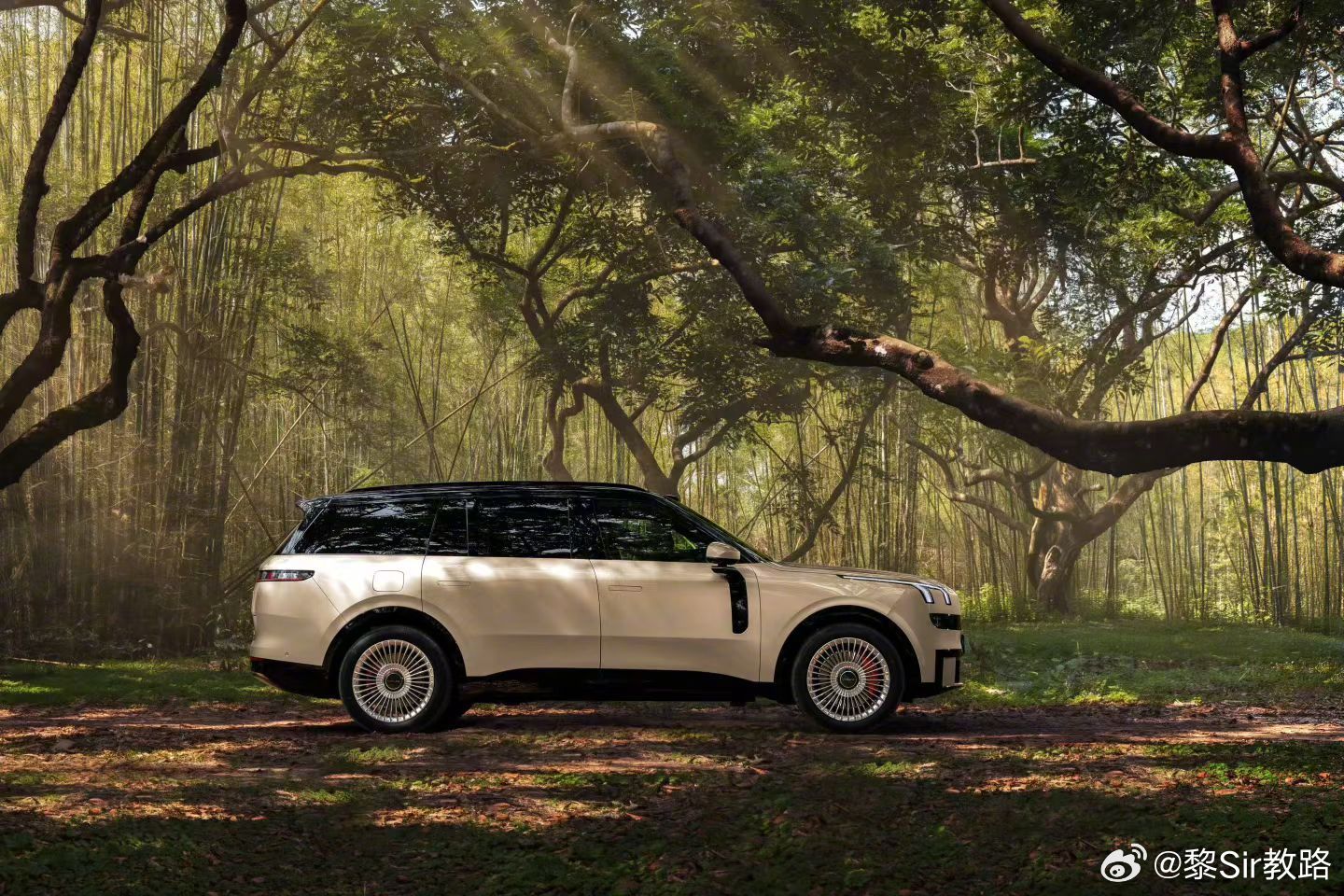 看来从今开始，世界上两有两种大5座SUV一种是领克900的大五座另一种是其它大五