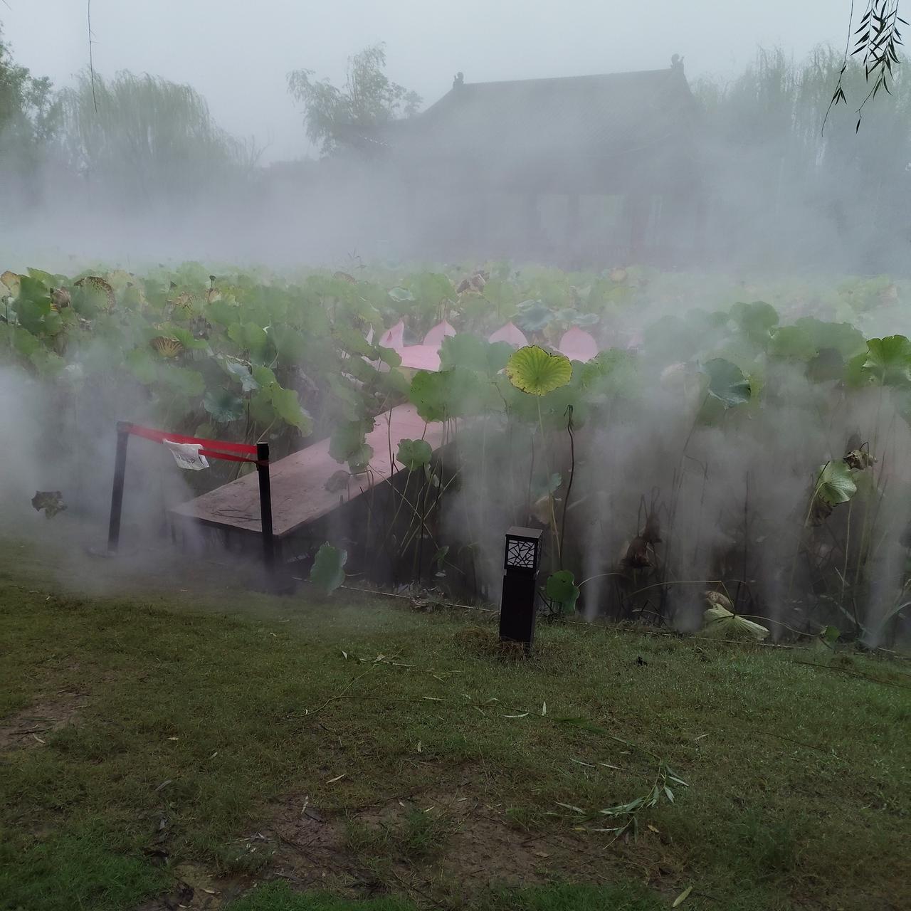 冬日生活打卡季