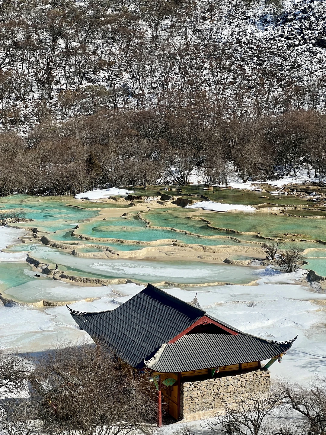 2.7阿坝黄龙live图 交换一张你手机的美图❗️