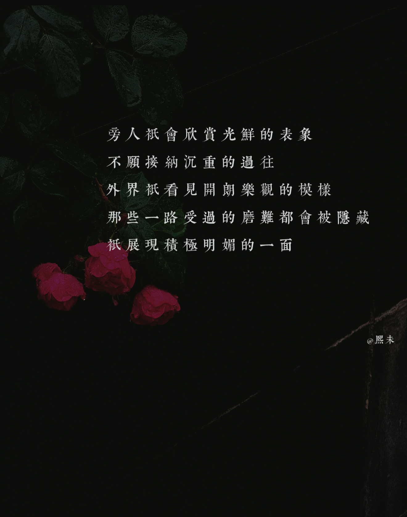 人们大多只愿意看见光鲜亮丽的一面，不会接纳压抑与沉重，于是那些坎坷和心酸都会被藏