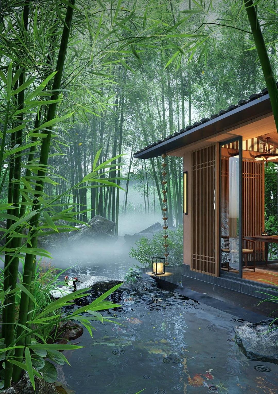 走进这小院，四周是翠绿的竹子，风吹过时，竹叶沙沙作响，仿佛在轻声诉说着自然的故事