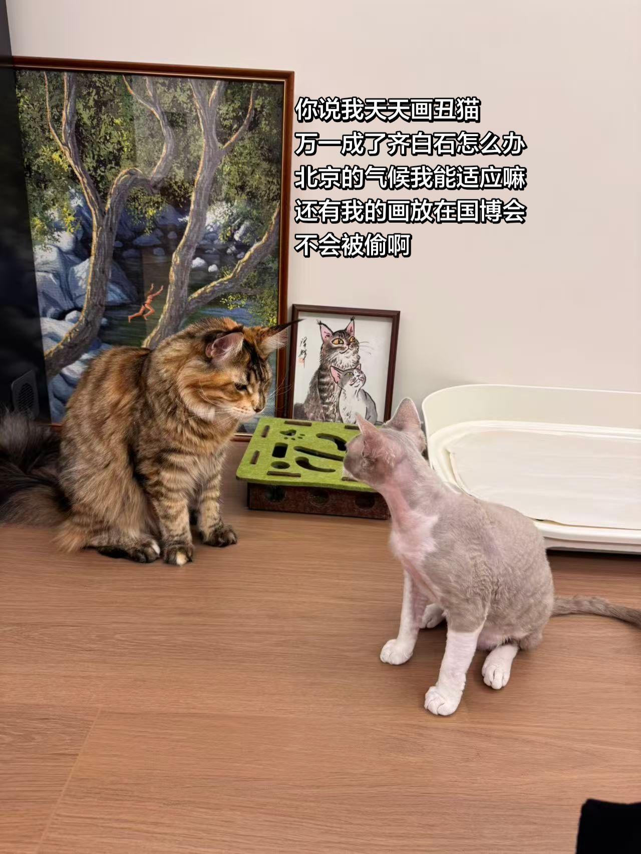 可爱到犯规 中国画猫猫 国画喵星人 猫咪纷争开始了 温泽辉潦草猫