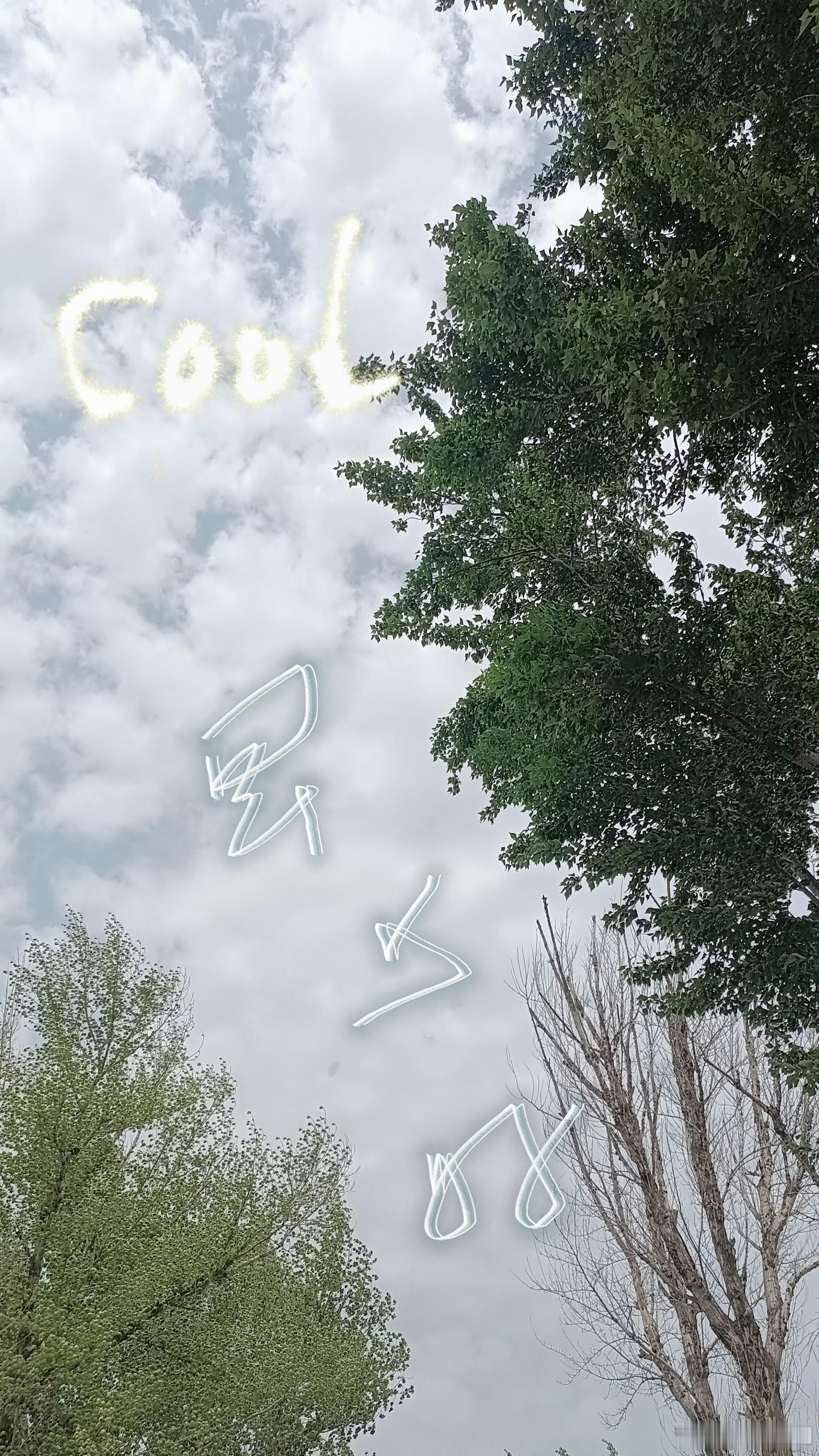 早安！天空在悄悄说着“Cool”，风也带着“思乡”的温柔。新的一天，愿你带着这份