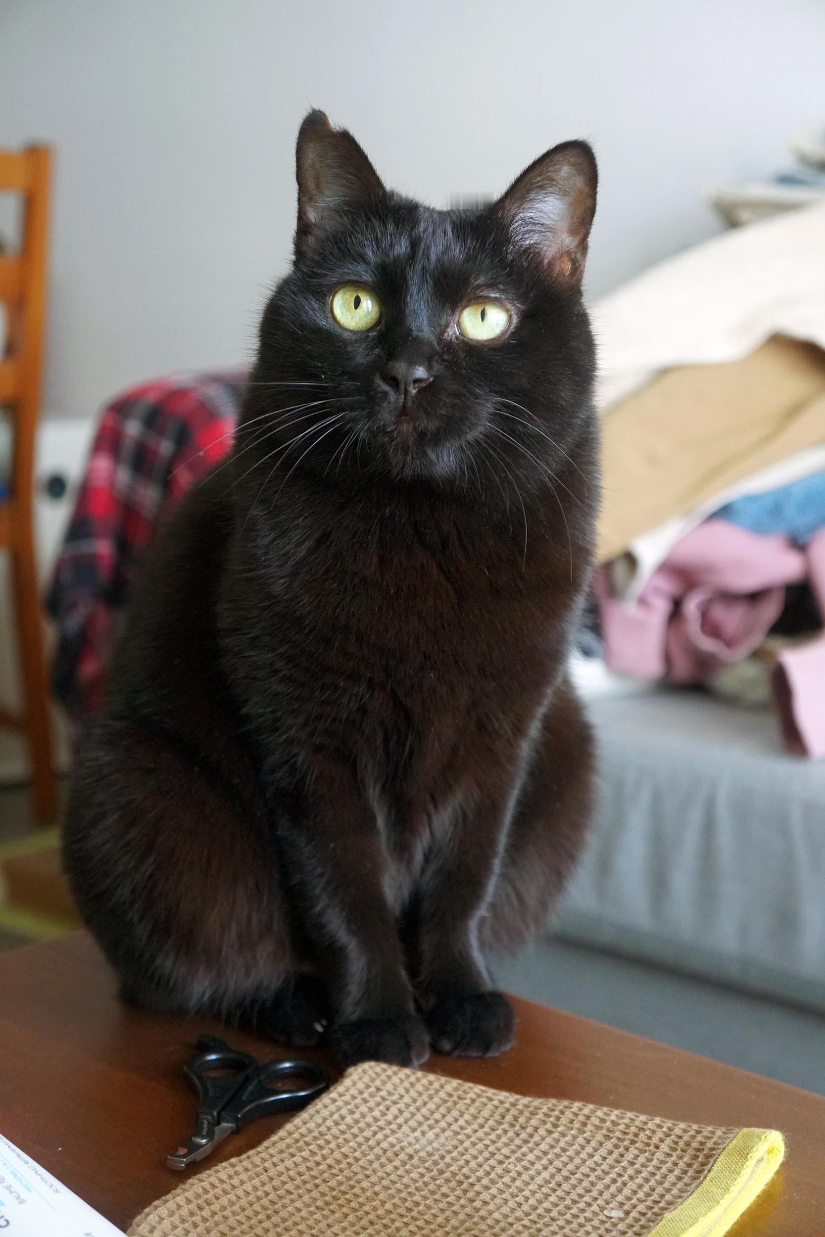 感冒剛好，不見伊人消瘦～ 