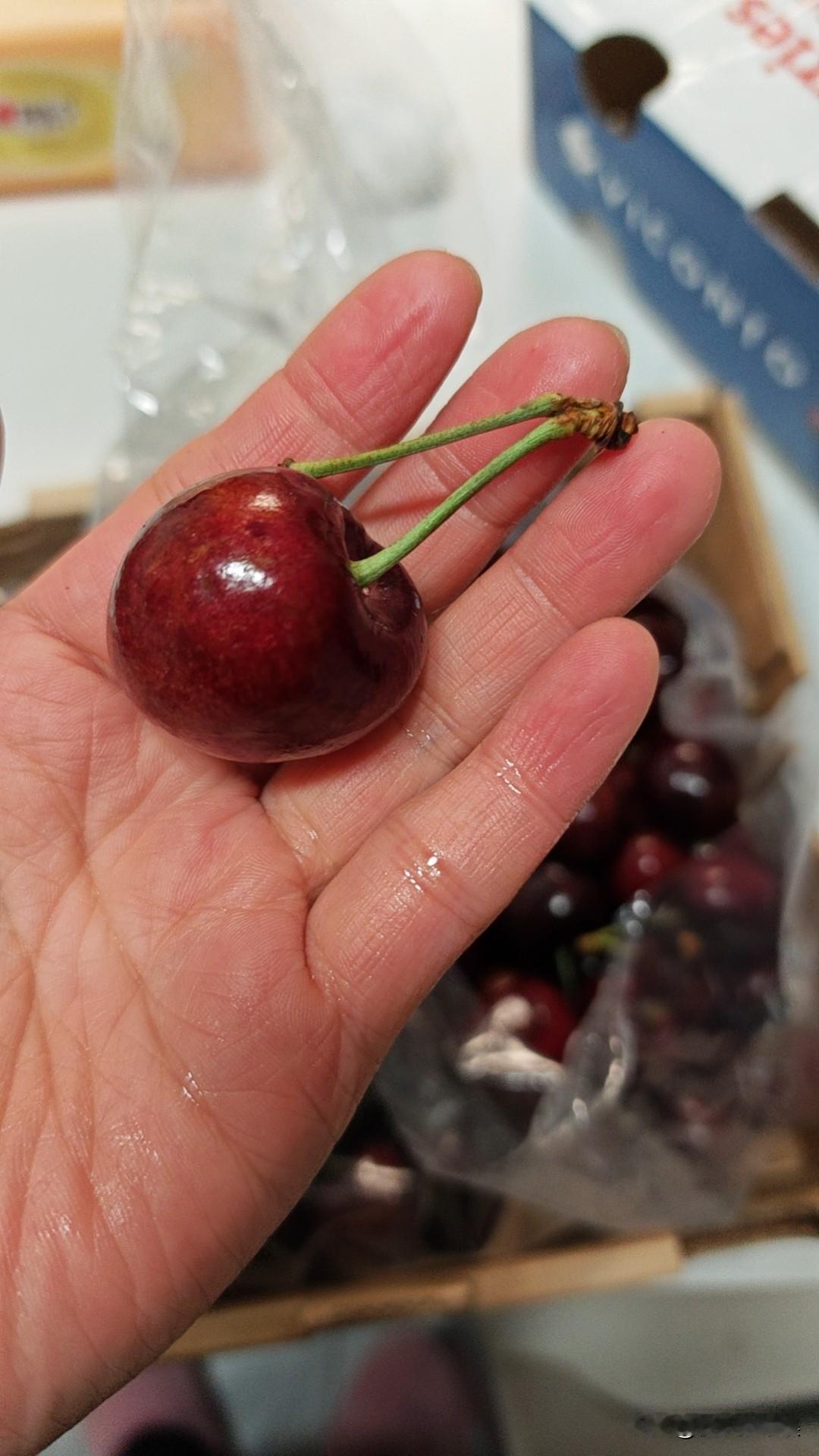 今年车厘子确实不贵
108块钱买了5斤，还有89/99五斤的
但是这个味道确实不