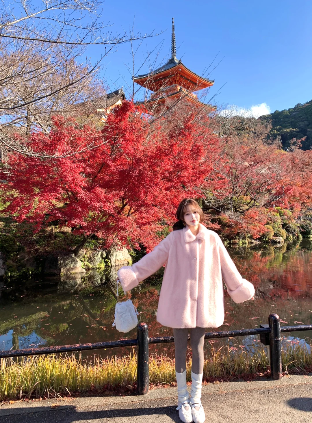 🍁也是看上了京都枫叶