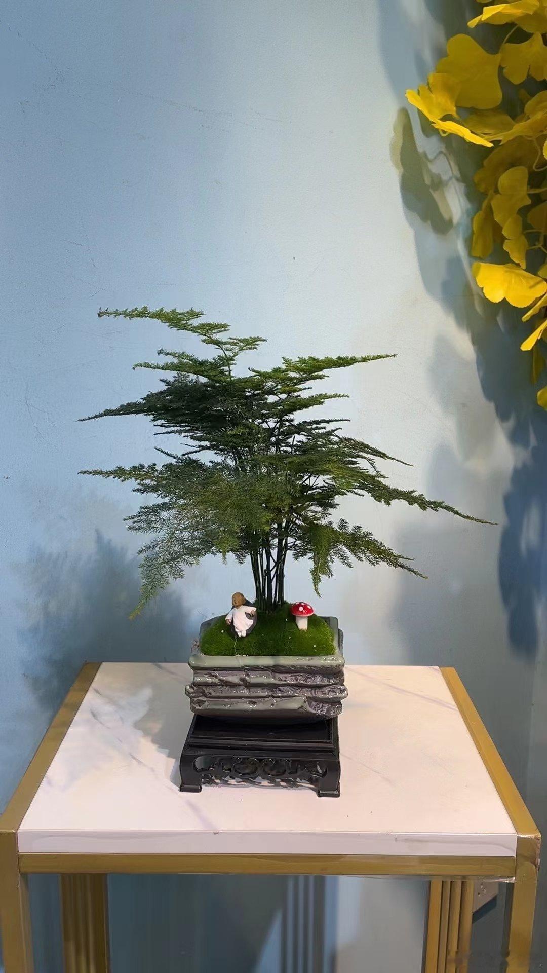 中年人的成熟不止是年龄，还要有能安放好情绪的能力。​ ​​​