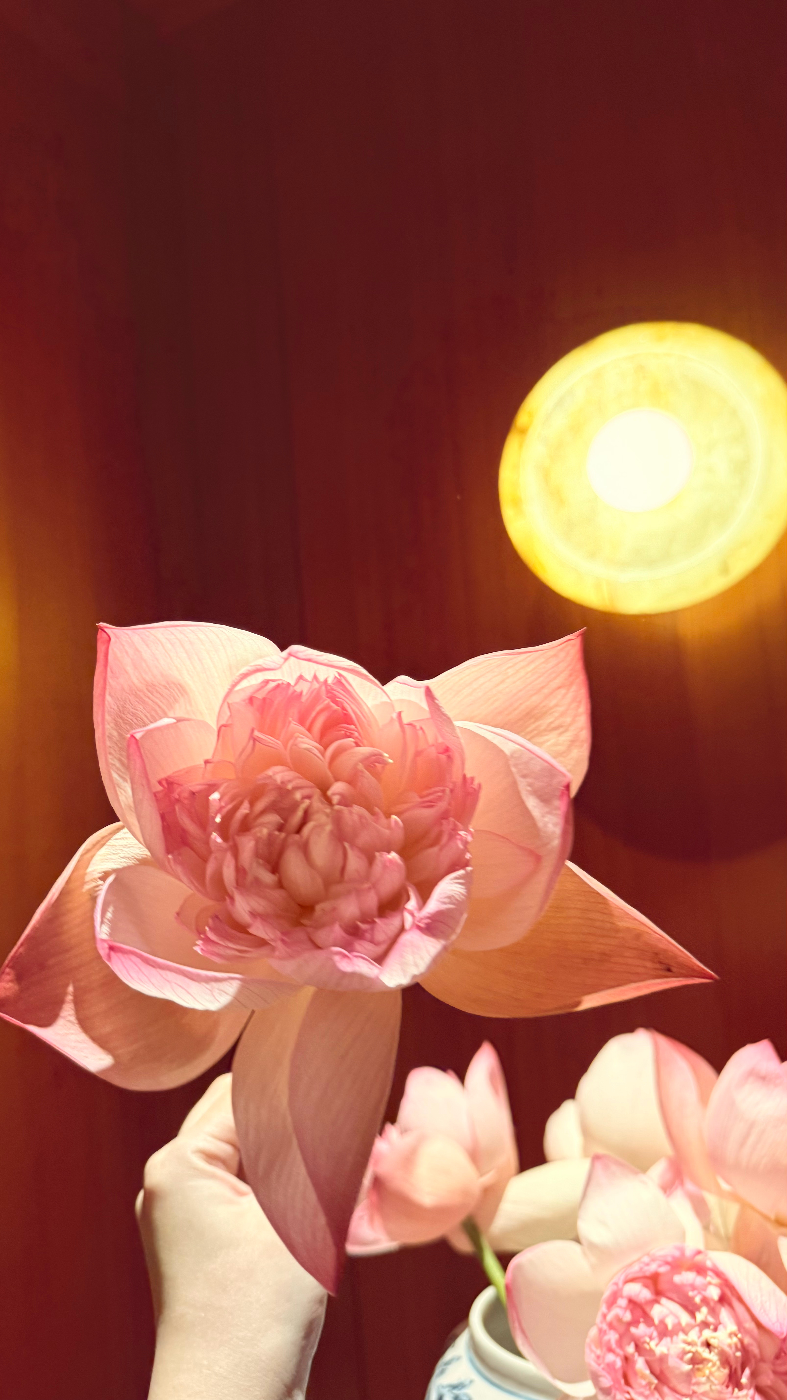 天涯共此时 ​​​