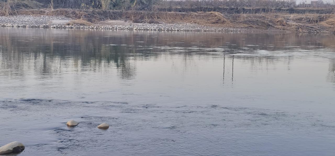 分享你的随手拍故乡.渭河冬韵.（霸王河入渭河处）