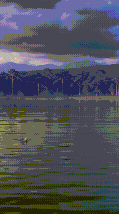 大鱼吃小鱼，
小鱼吃虾米！
弱肉强食太现实！
你吃我来我吃你！
前一秒还在吃别人