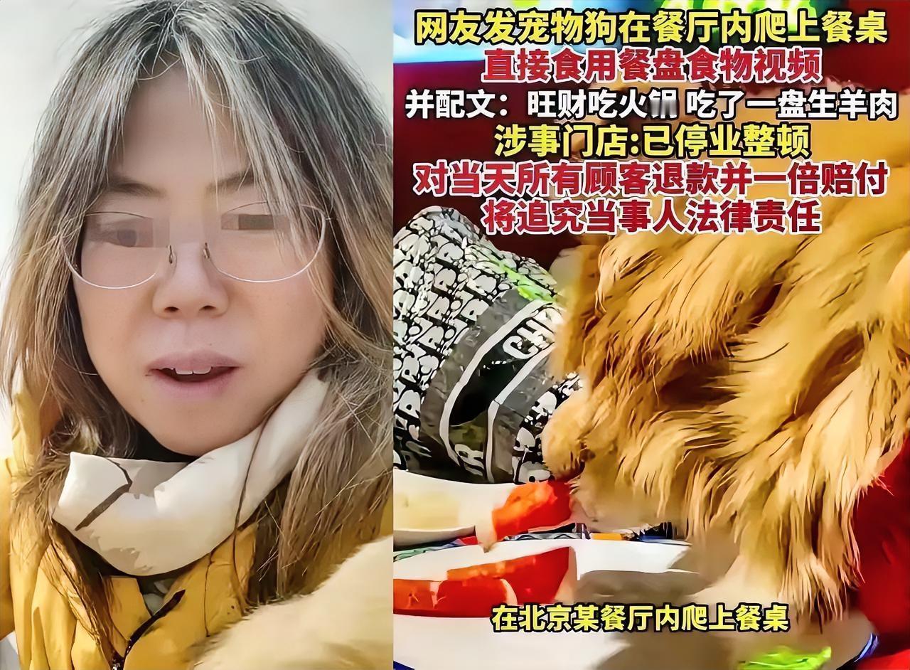 南门刷肉估计悔的肠子都青了
不是因为没阻止狗舔盘子
也不是1倍赔偿当日用餐的食客