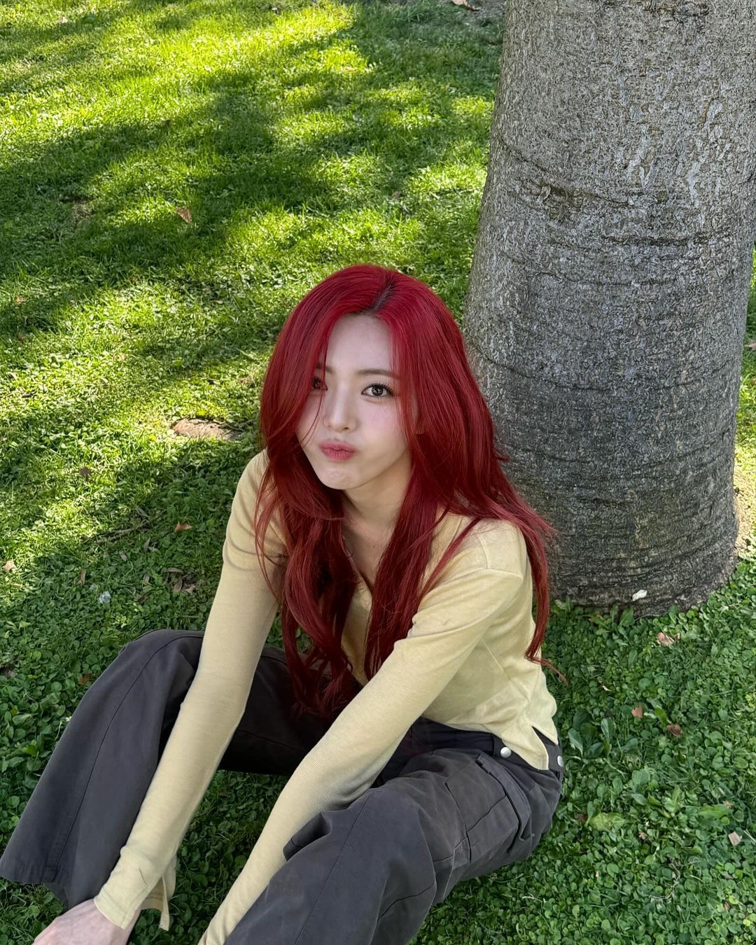 春天的具象化 充满生机的美🍃🪵*申有娜Yuna ​​​