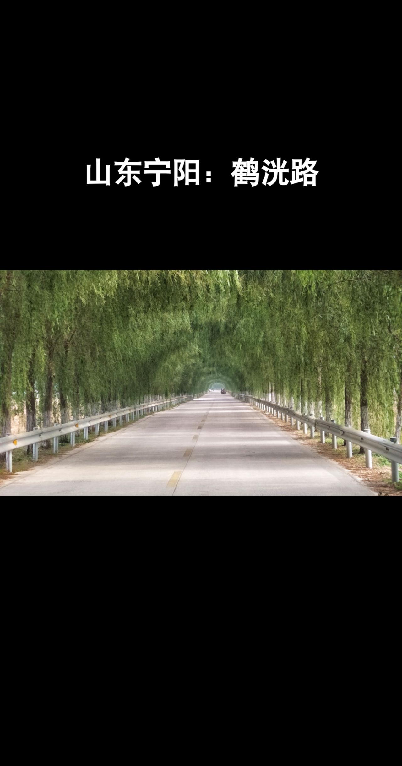 #老家#宁阳#山东#泰安#老家