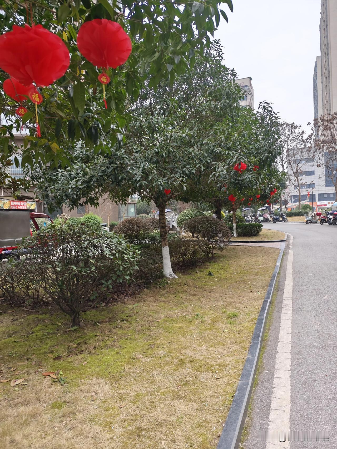 小区灯笼已经挂起来了，一年走过去啦
今年大家有什么收获呢？新年的一年又有什么期待