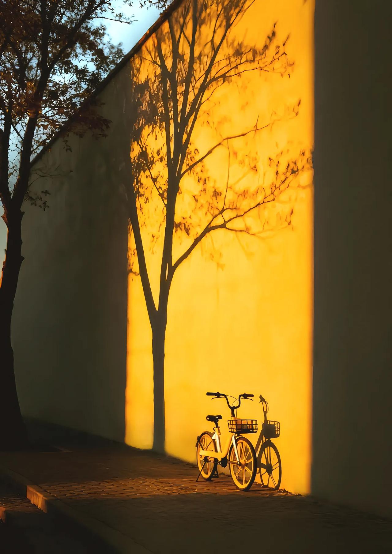 当秦淮外国语学校的张同学拿到南师附中国科大班录取通知书时，所有人都为这个曾经的“