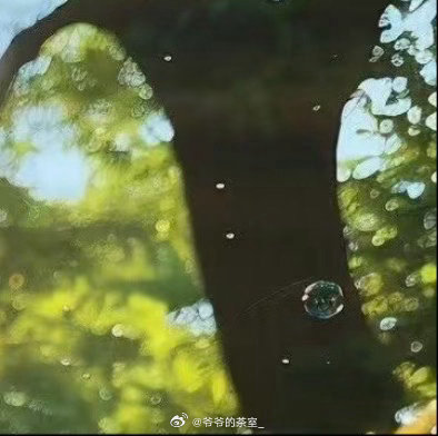 每日一善阳光信用 以平常心度日, 以宁静心悟道。行善不可缺, 每日积阳光！ 