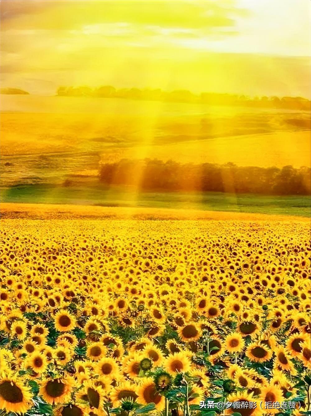 最近发现自己彻底爱上写头条了，两个账号换着写，想到啥就写啥，压根不管有没有流量，