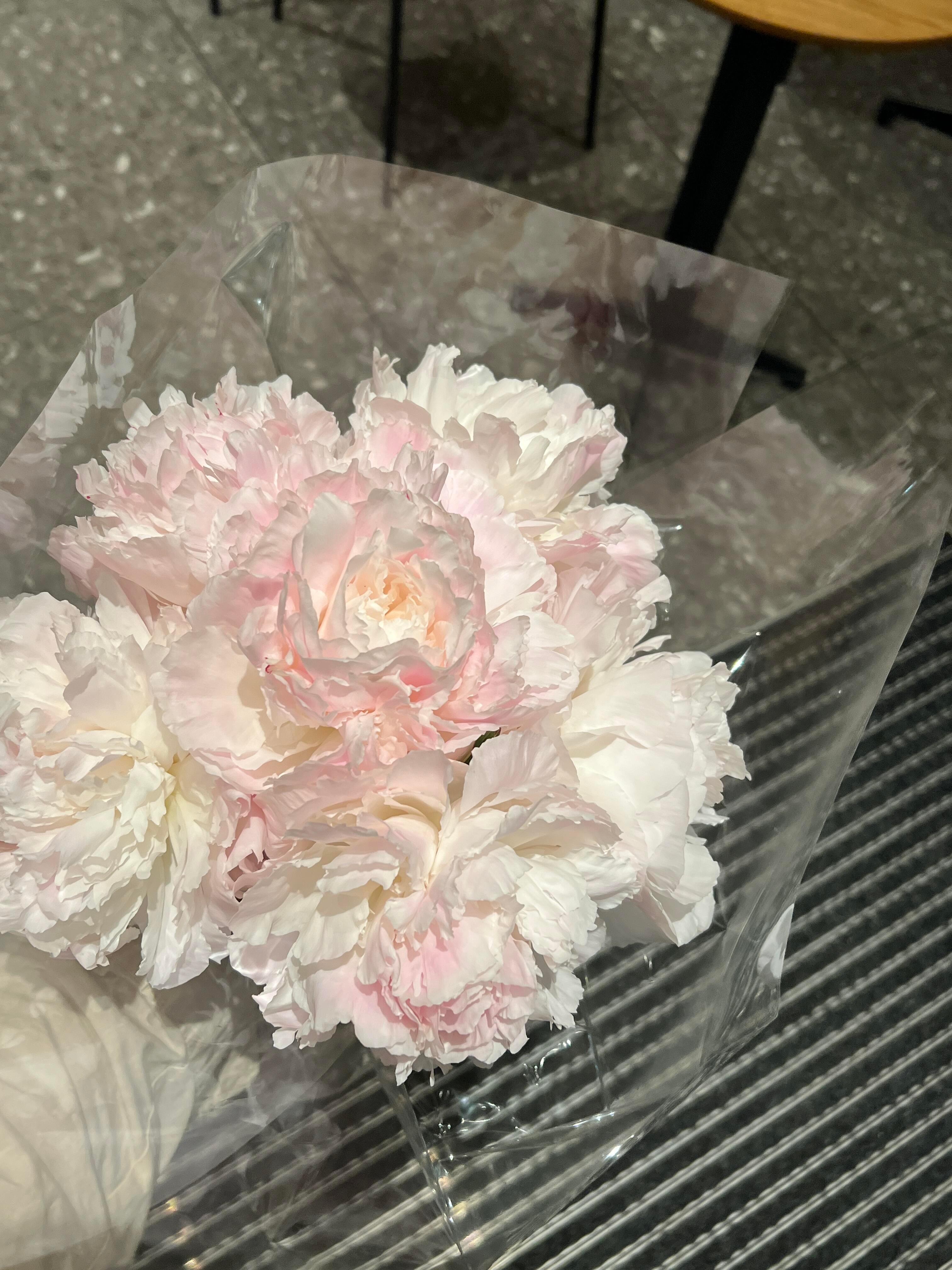 芍药的美已经进入next level 