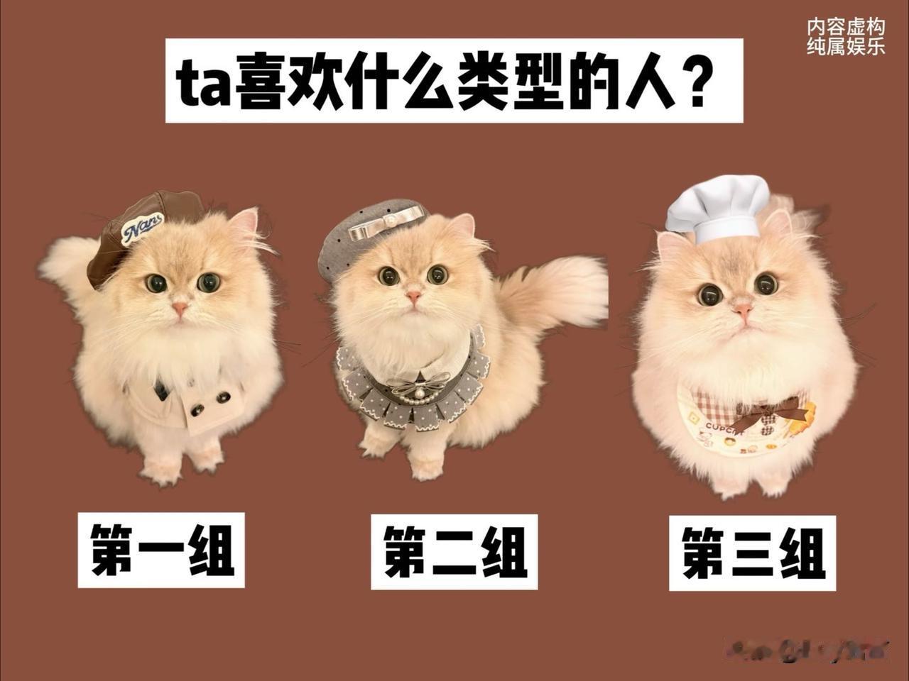 ta喜欢什么类型的人?