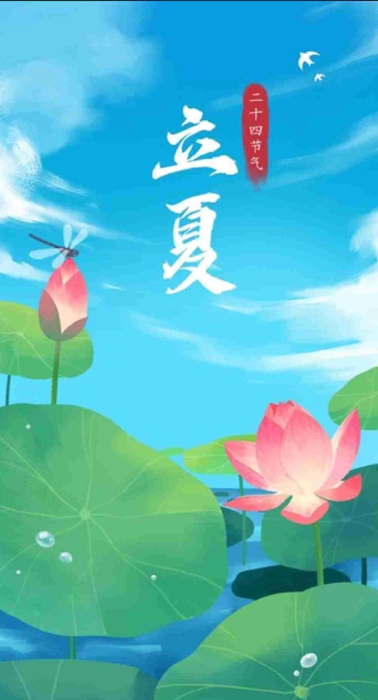 今天立夏，春尽夏至，心情也跟着变得轻快起来。我这儿是大晴天，阳光灿烂得仿佛在给世