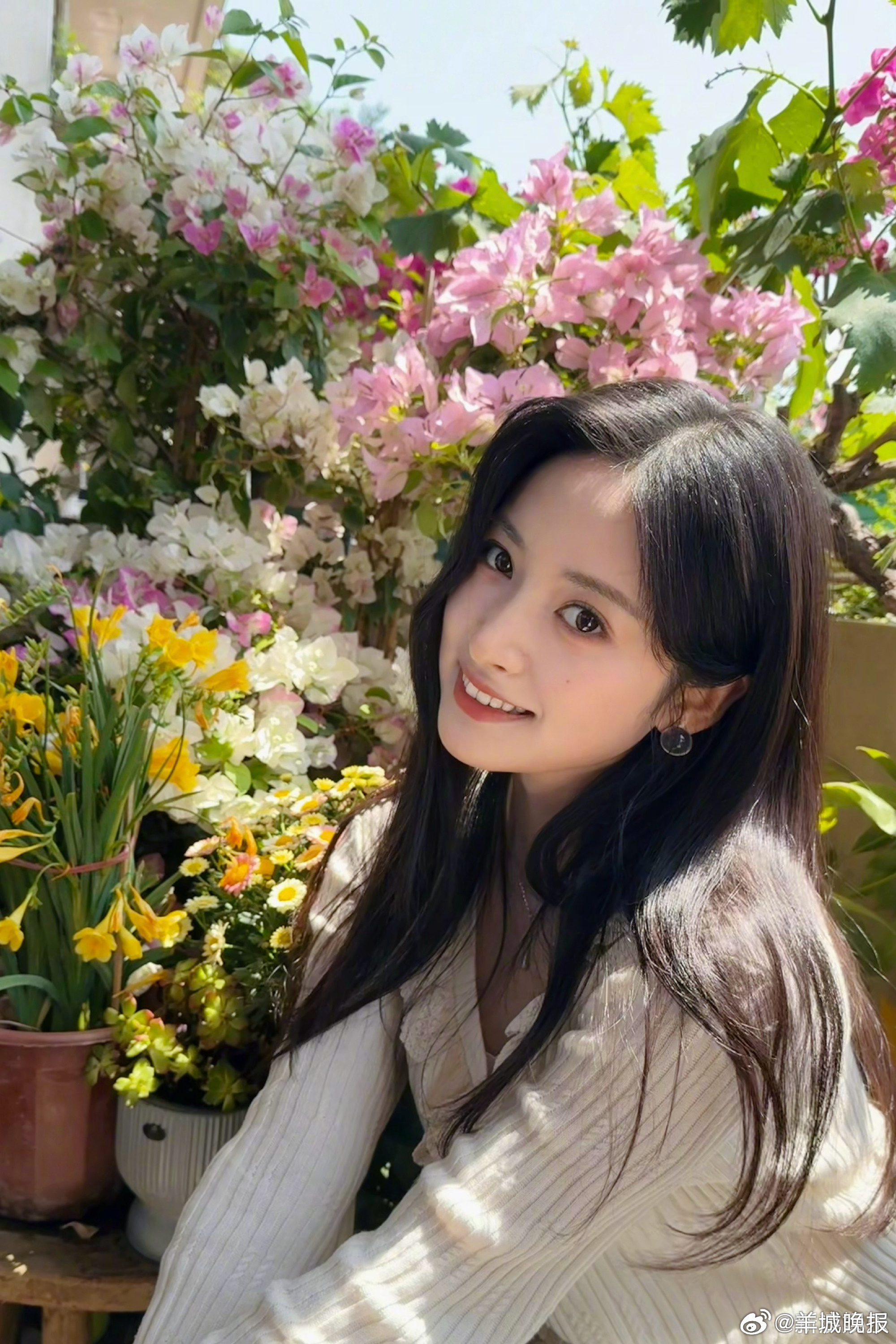 【灿烂夏日就是要和鲜花合影】明媚夏日带着热烈生机，繁花盛放晕染出温柔光景，与鲜花
