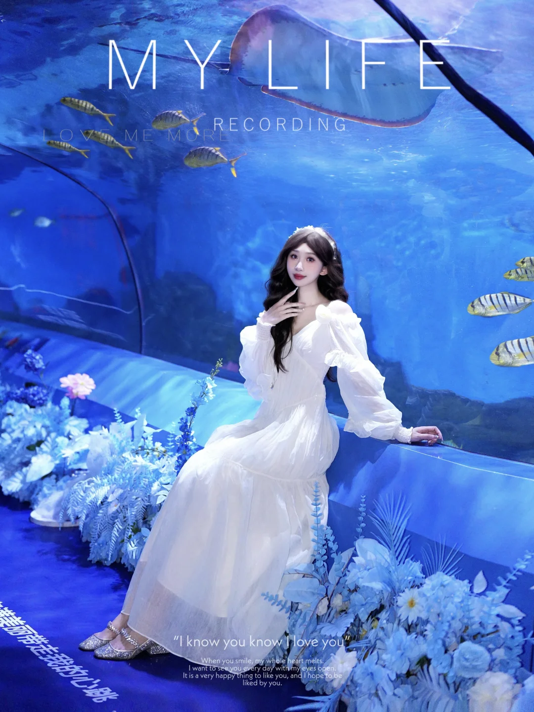 𝙊𝙘𝙚𝙖𝙣 𝙋𝙖𝙧𝙠🫧ᐝ🪼