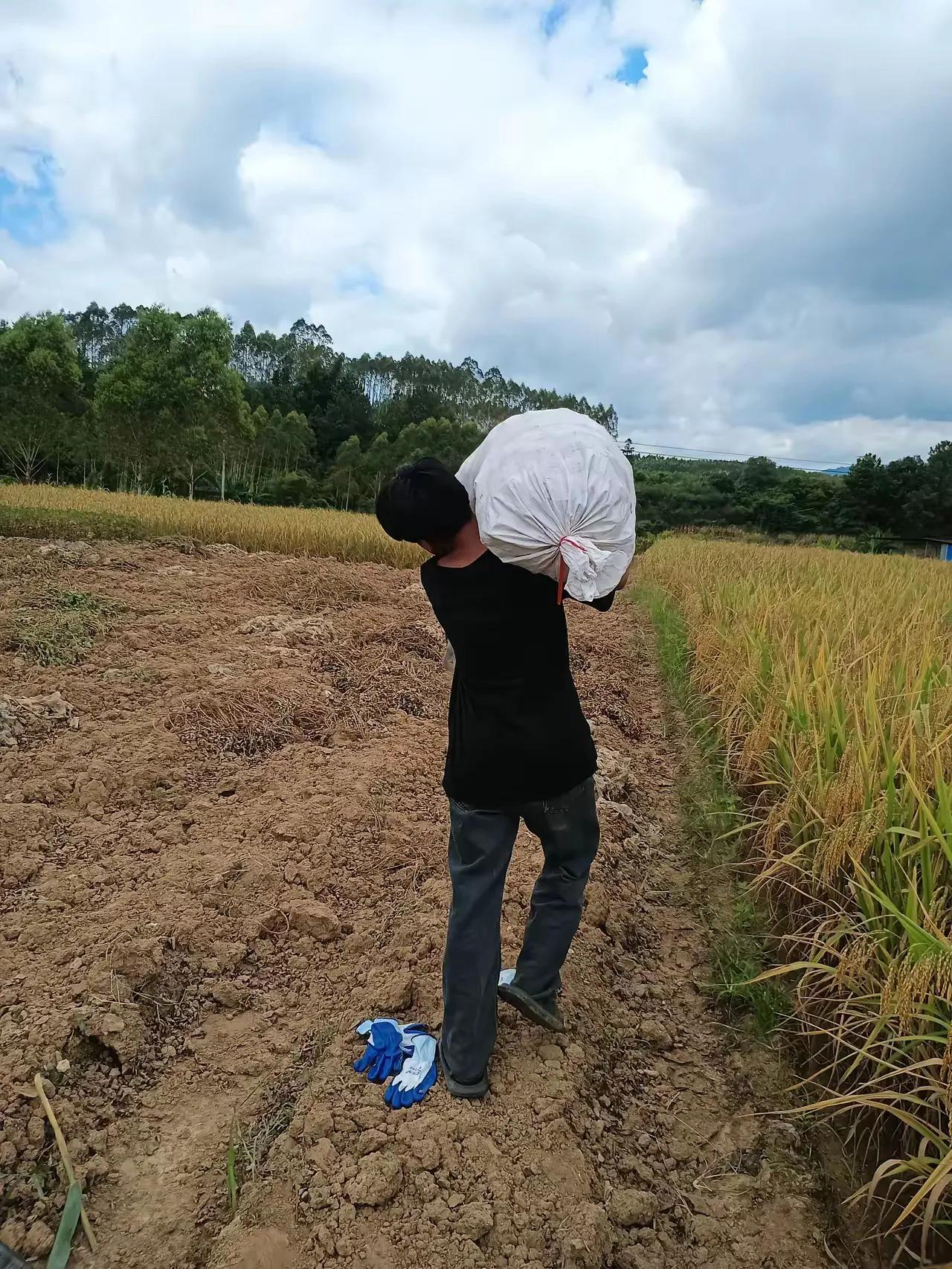 有这么好的儿子，肯定是来报恩的！
朋友的儿子已经上大学了，今年放暑假，很多和他一
