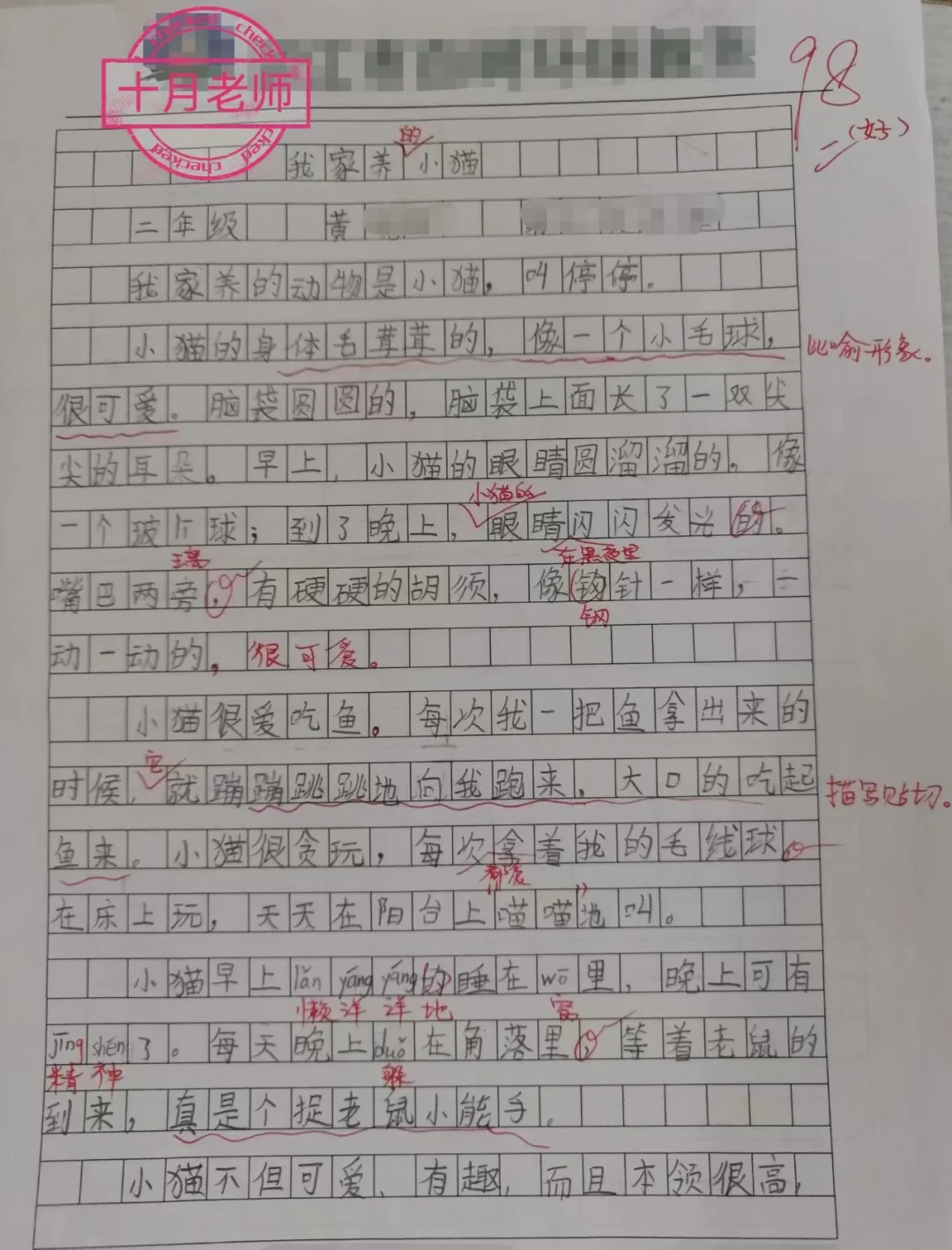 学生期末考试写小动物作文《可爱的小猫》