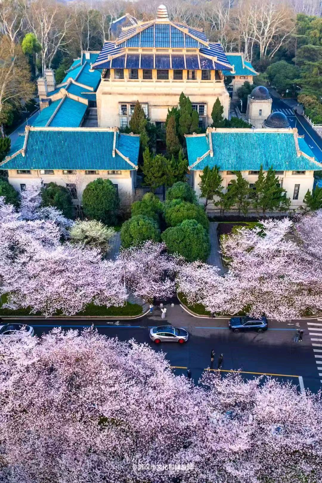 2026nio day必来武汉的几个原因，这次武汉当仁不让，必须拿下。有很多个理