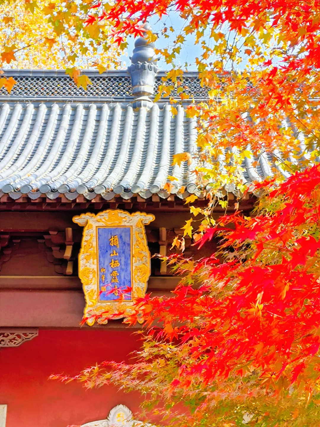 🍁南京栖霞山赏枫｜每年都会有人踩大坑！