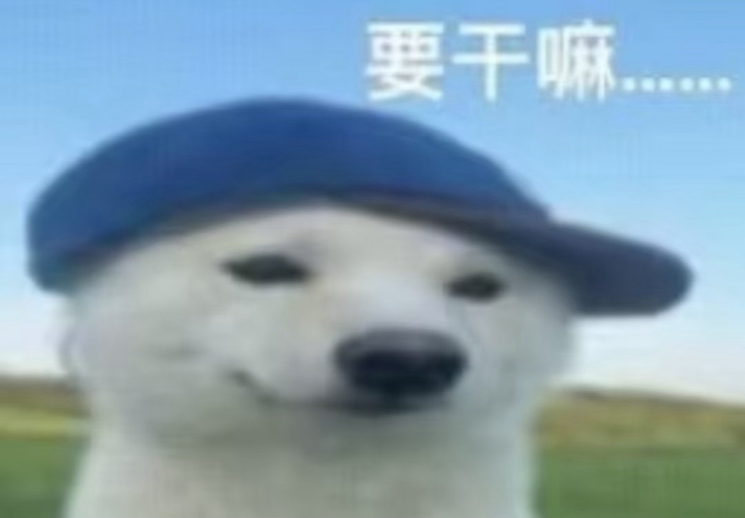 脚盆这次回归美商为负数，合理怀疑这次回归是为了赶粉没showcase 提前泄整曲