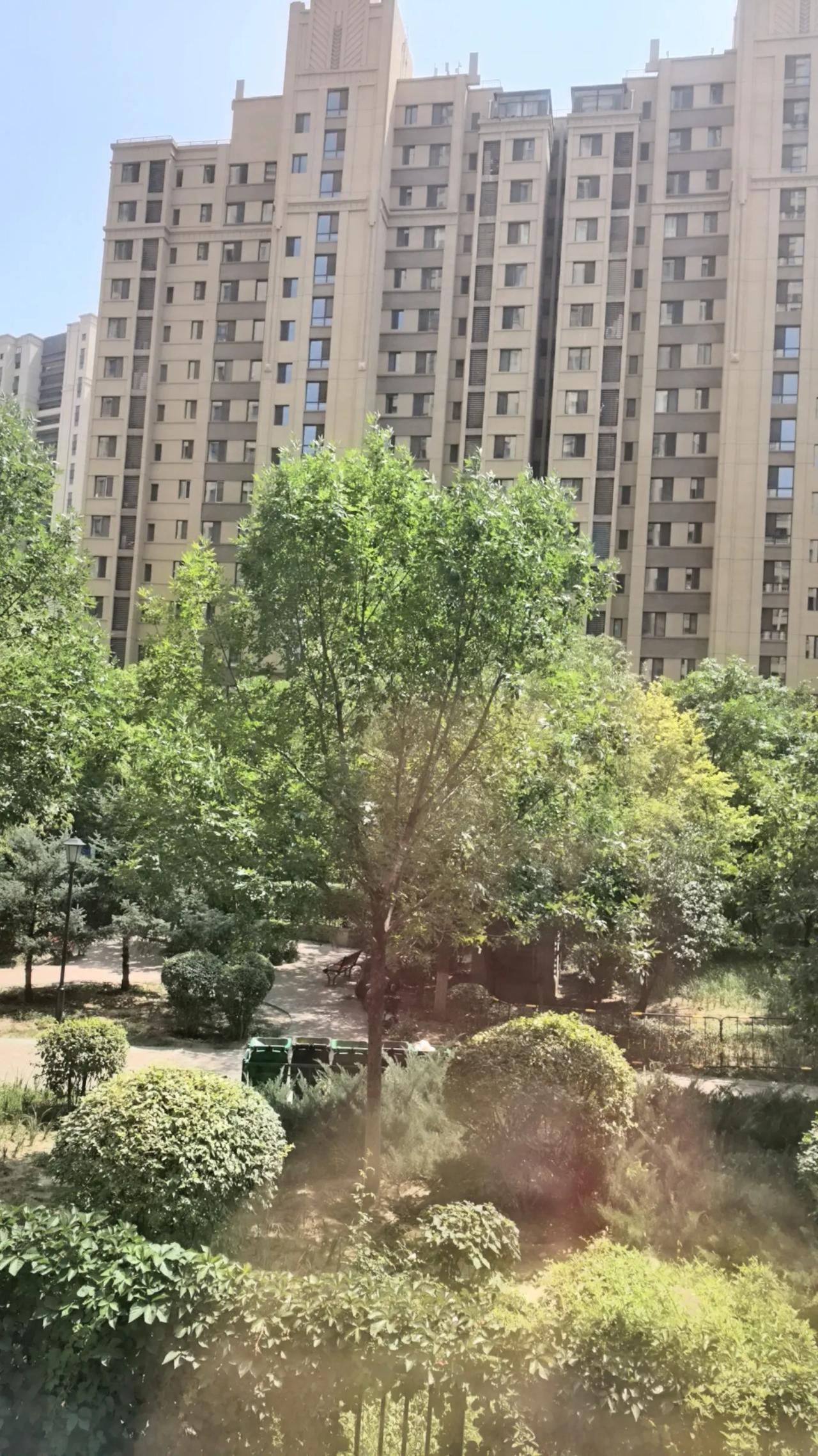 今天早上，陪着朋友来到呼和浩特市赛罕区永泰城小区看了一套房子，这套房子面积124