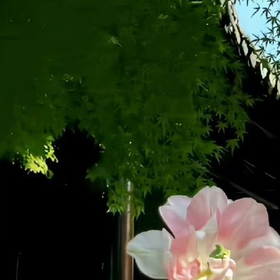 每日一善阳光‎信用 记住该记住的，忘记该忘记的。改变能改变的，接受不能改变的。不
