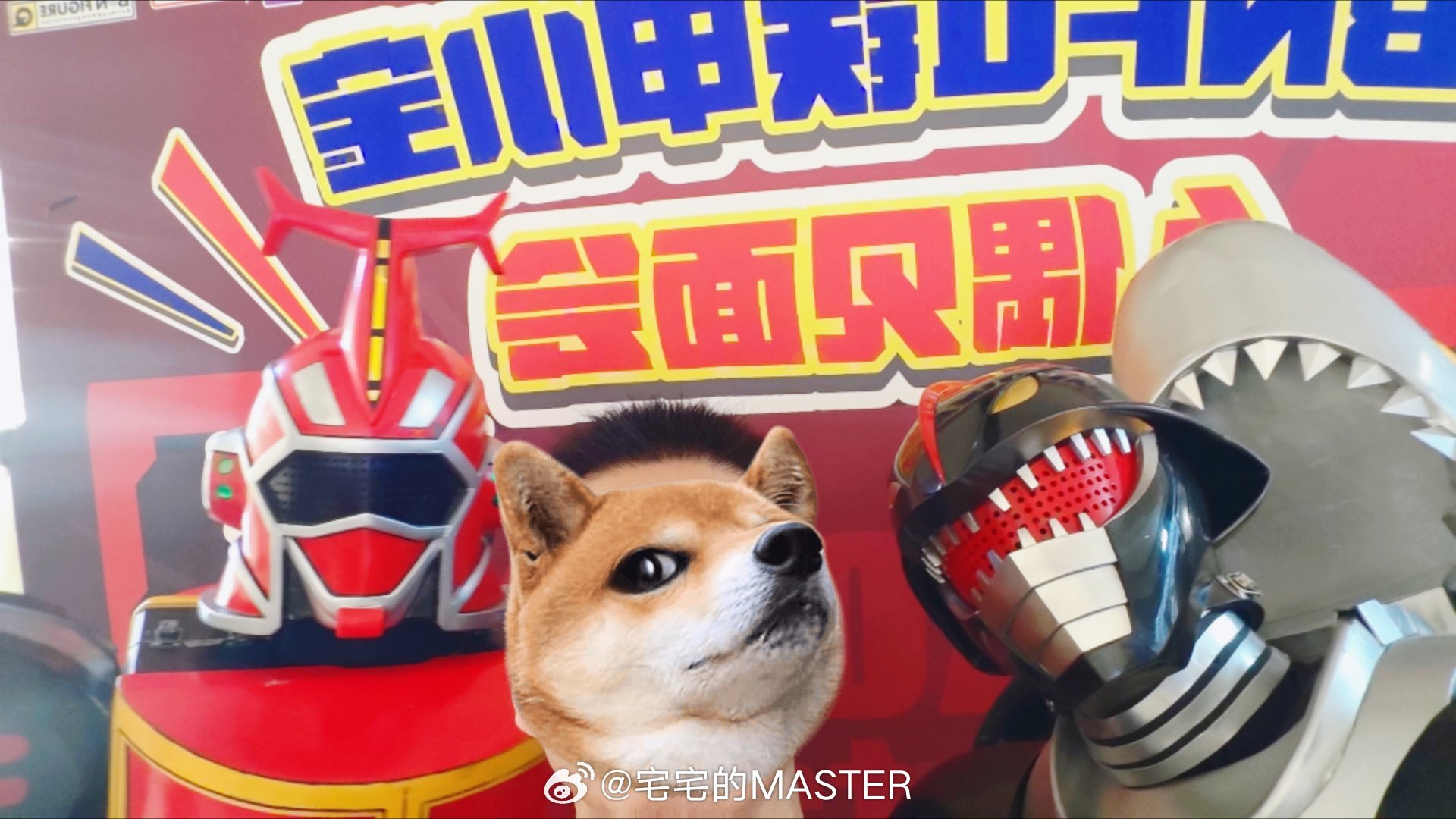 跟卡布达和鲨鱼辣椒超级变换形态合影合爽了